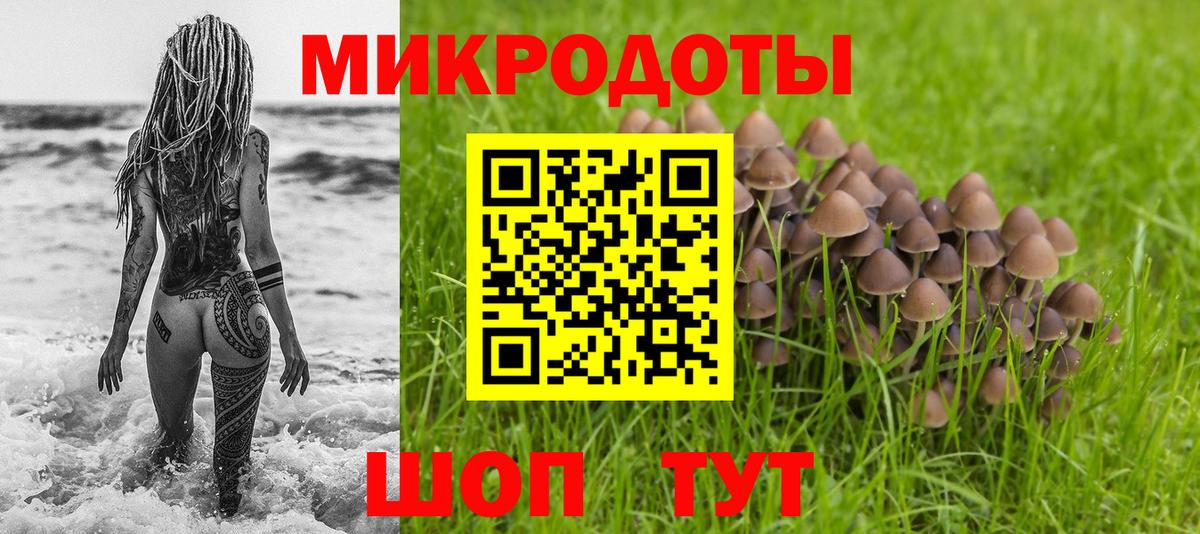 Галлюциногенные грибы прущие грибы Северодвинск